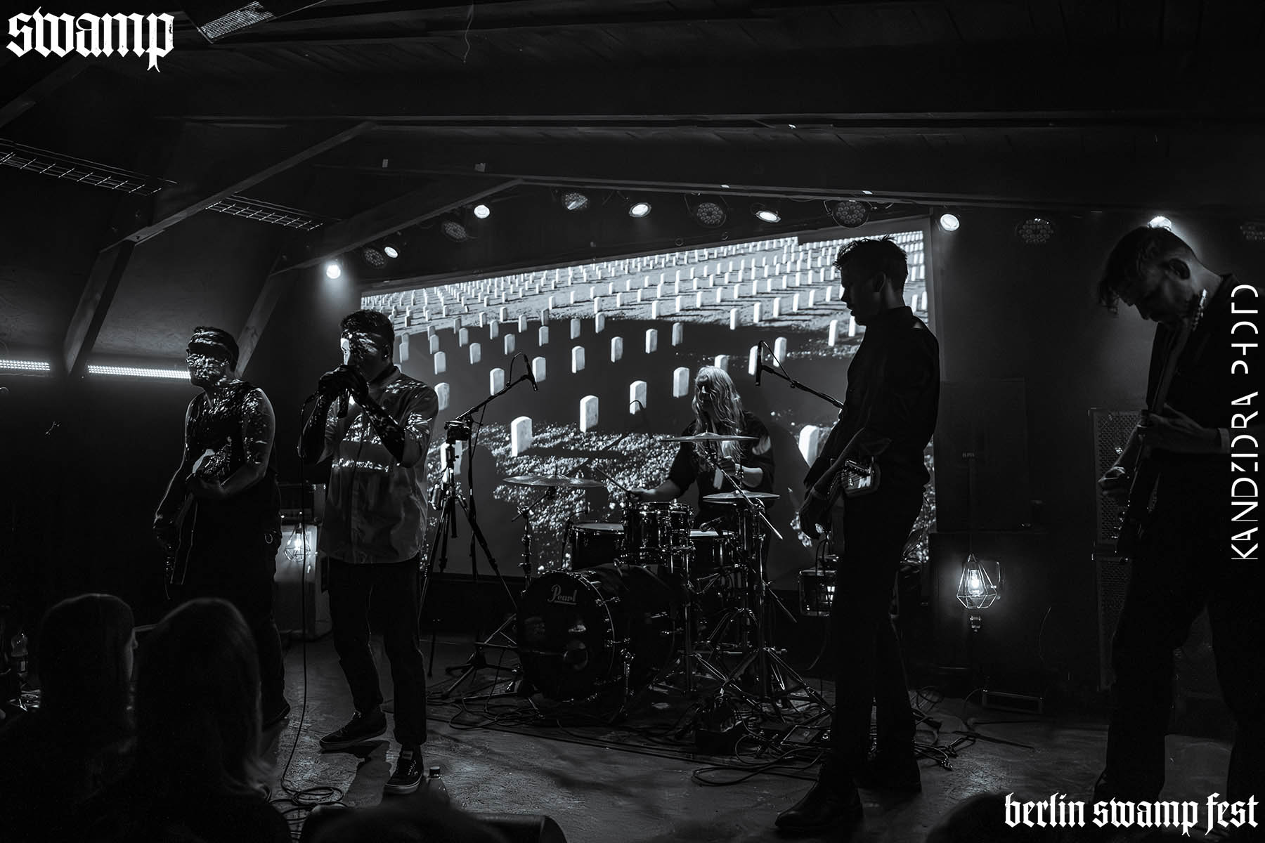 2D4A3599